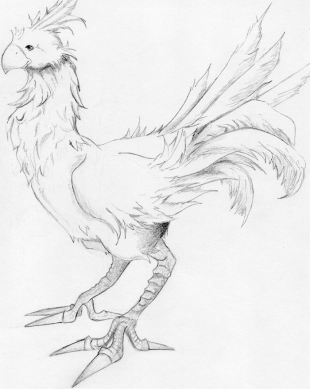 Chocobo