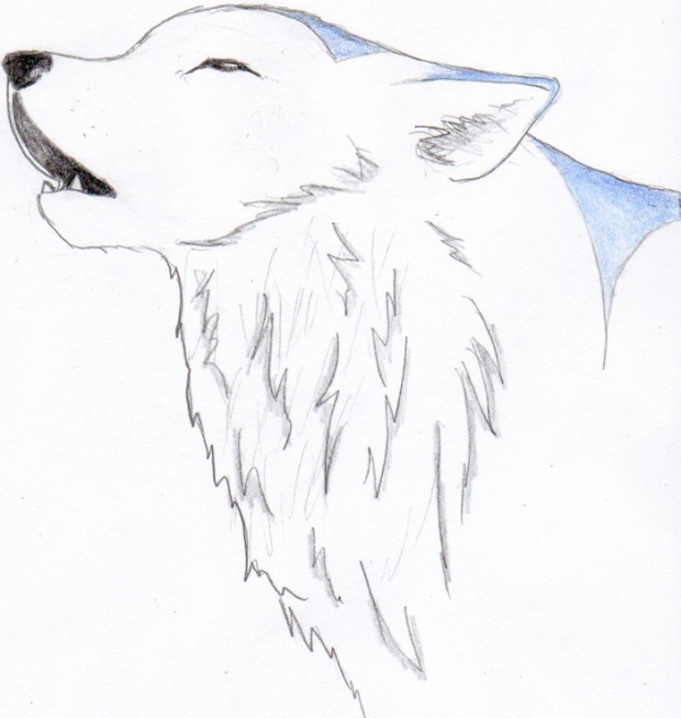 Snowdiamond Howling