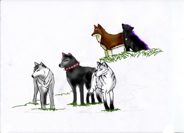 For Gabuki92 (request)