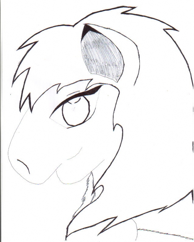 Quit Horseing Around