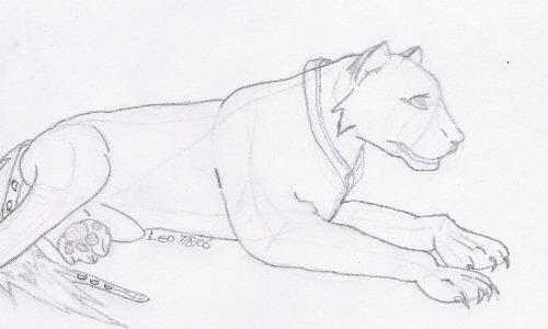 Tiger/wolf Sketch