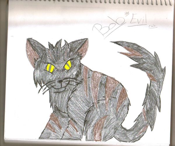 Bob The Evil Cat!!!