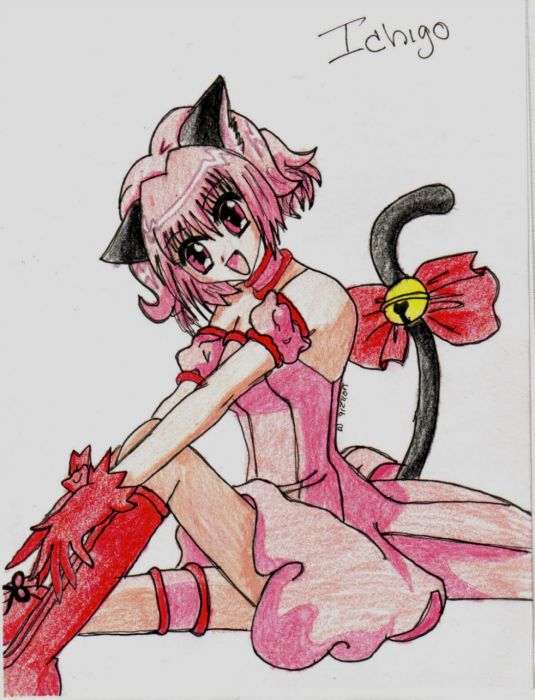 Copied Pic Of Ichigo