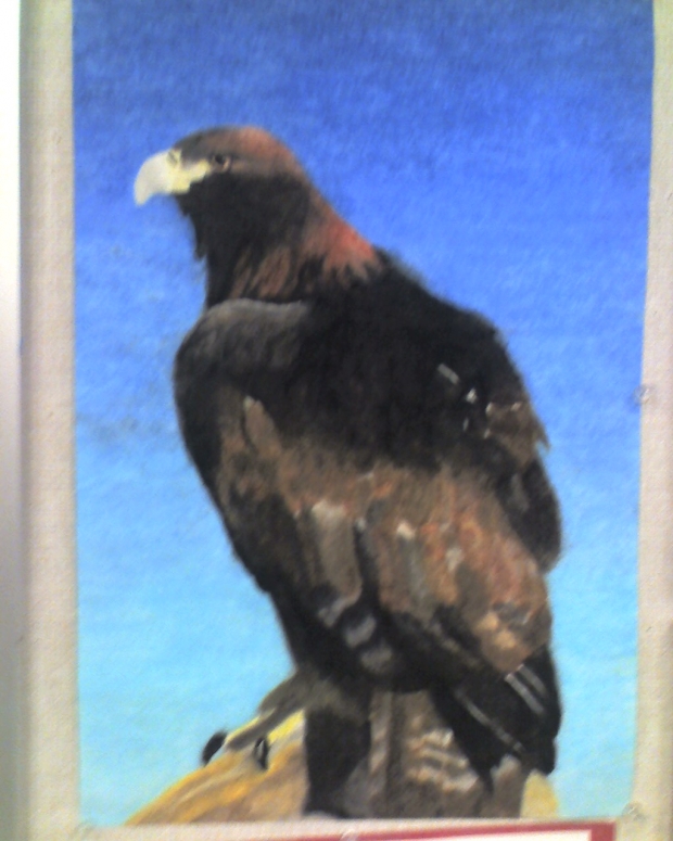 Golden Eagle