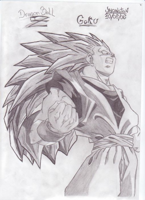 Goku 3