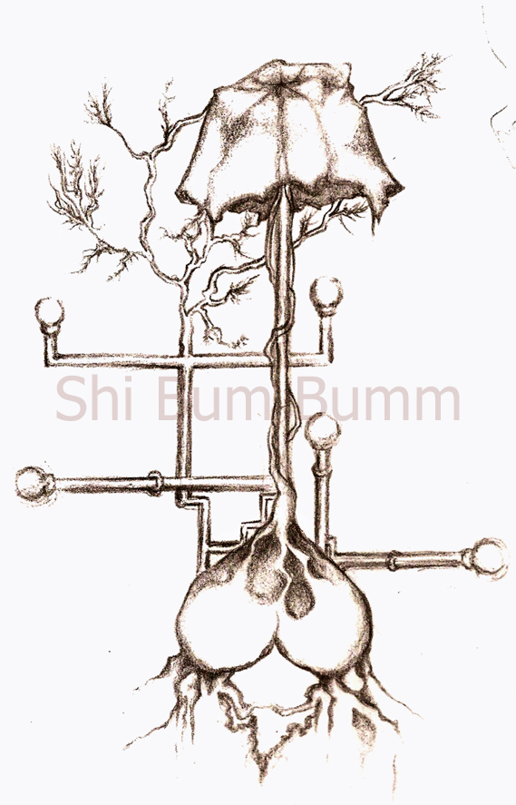 The Triumph & Loss of Logic & Intuition