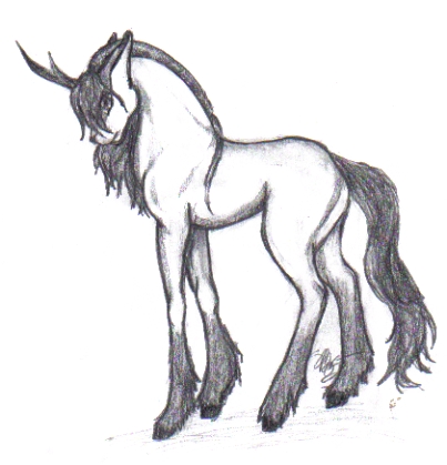 Unicorn