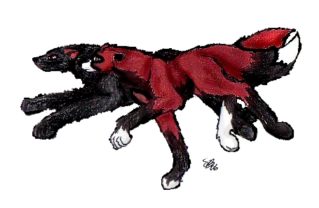 Searching For Paradise