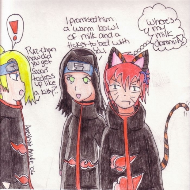 Sasori's A Kitty!