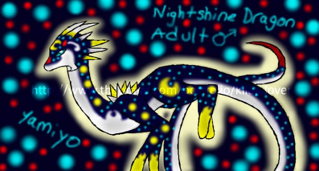 Nightshine Dragon