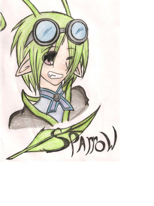 Sparrow Face Pic 1