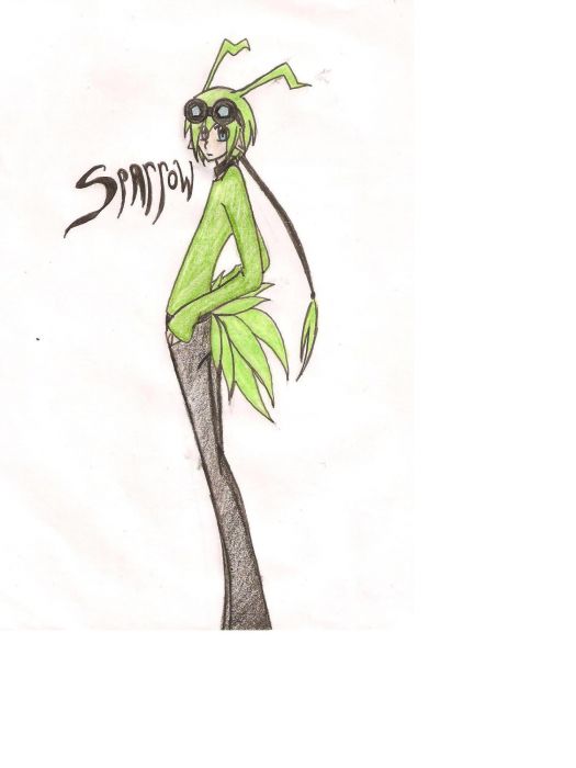 Sparrow 2