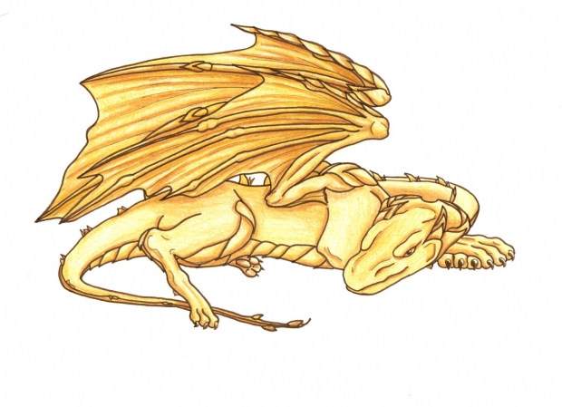 Sunne "Golden Dragon"