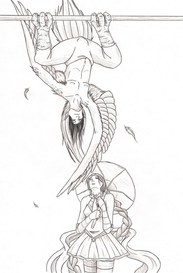 Feathered Acrobat Linework