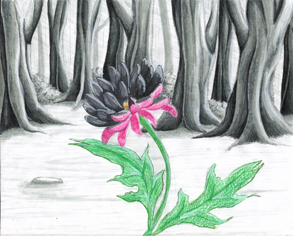 Little Touch of Color