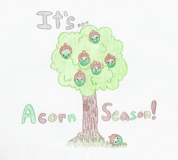 Happy Acorn Season!