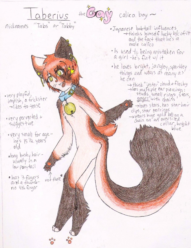 Taberius the Calico Cat <3