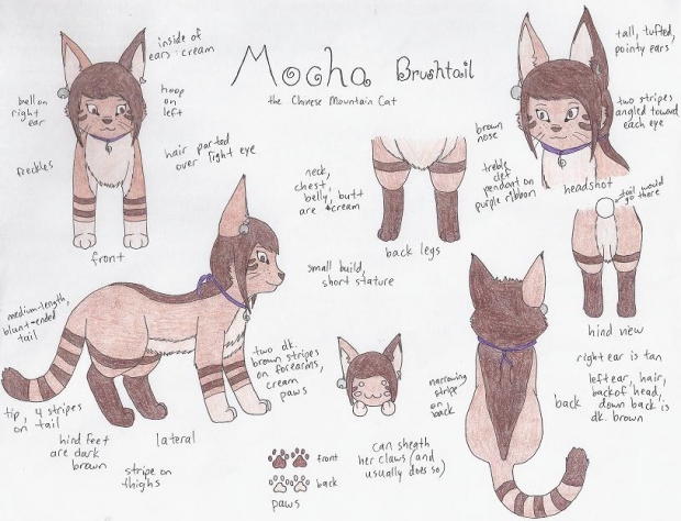 Fursona #1: Mocha Brushtail