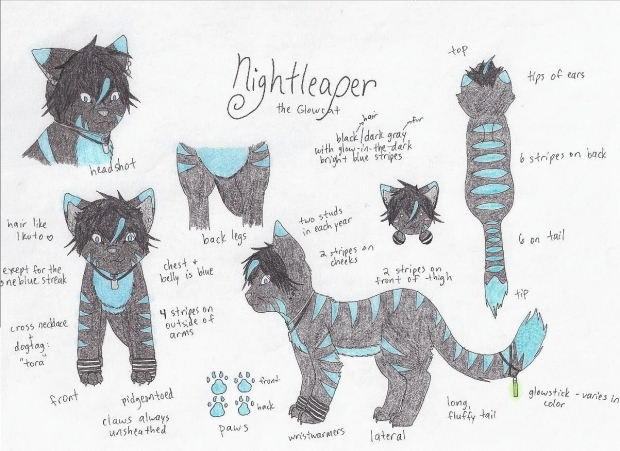 Fursona #2: Nightleaper