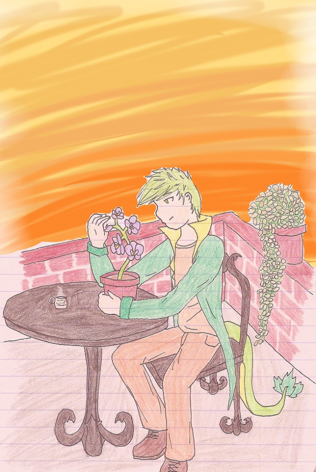 Rooftop orchid sunset.