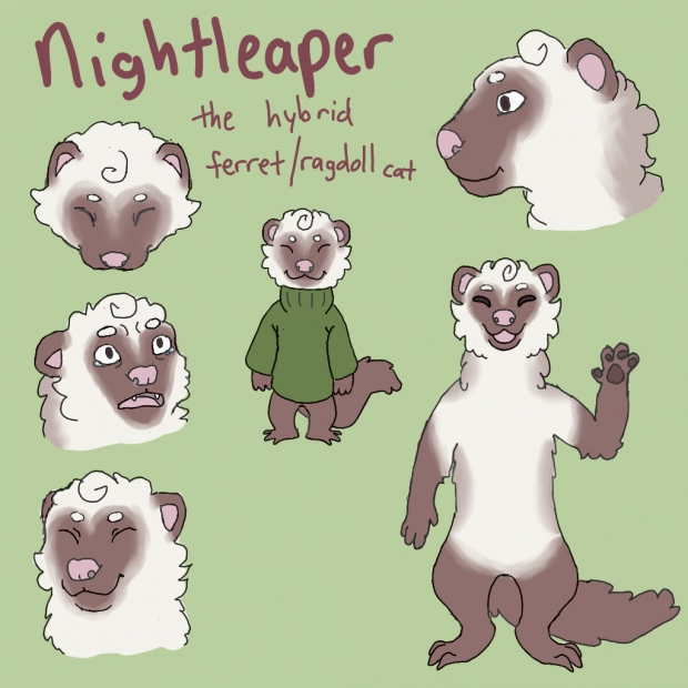 Nightleaper [redesigned]