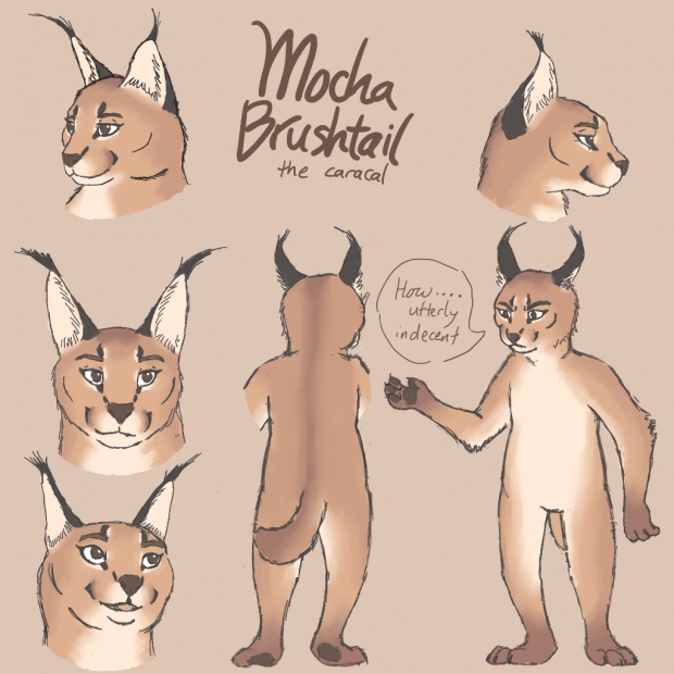 Mocha Brushtail [redesigned]