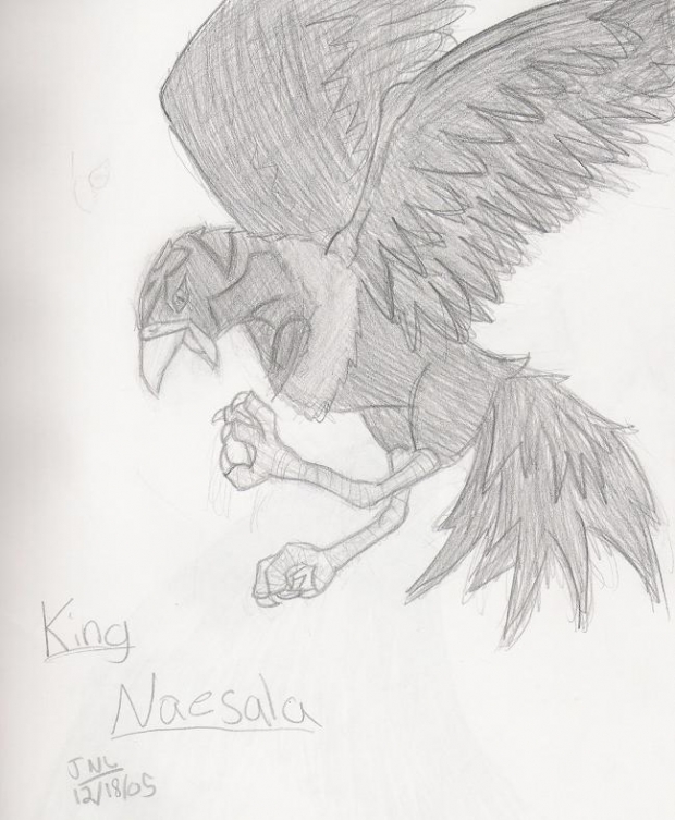 Naesala (raven)