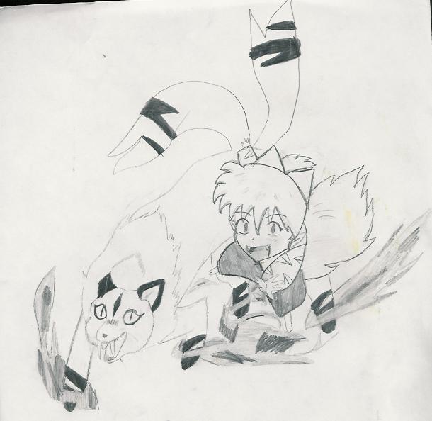 Shippo And Kirara