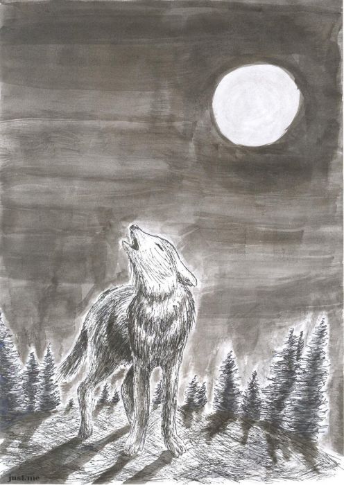 Wolf Howling