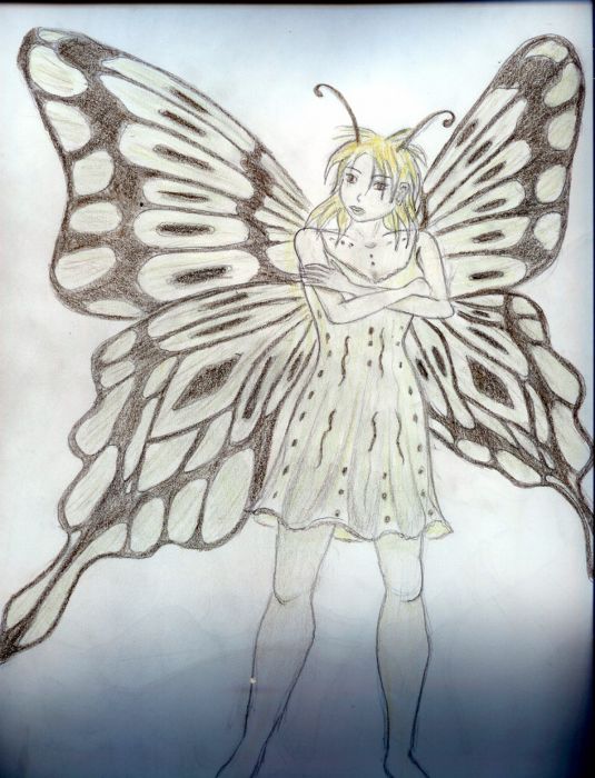 Butterfly