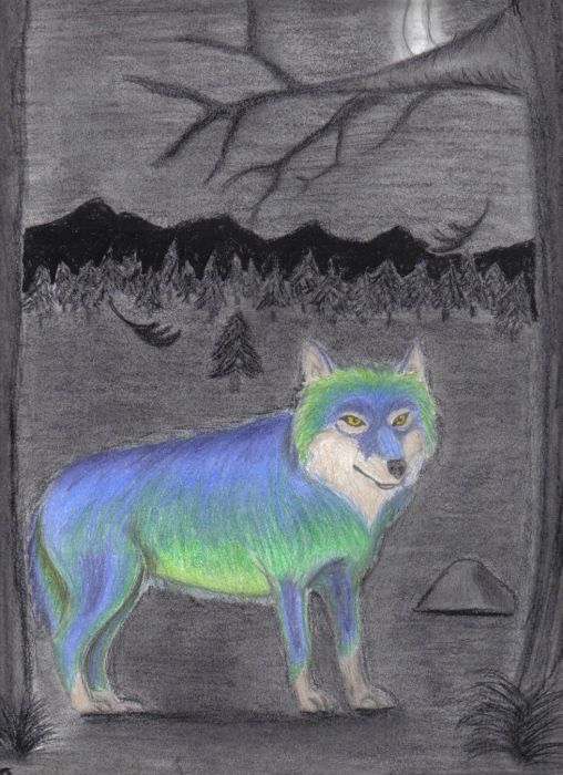 Caspian The Wolf For Koolaid Guy