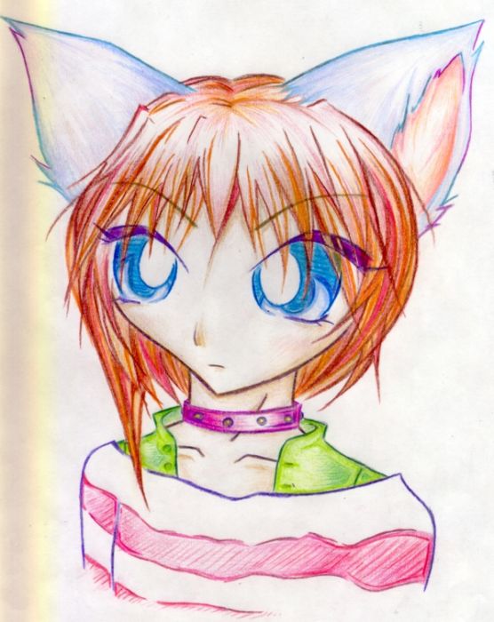 A Kitty To Call My Own!