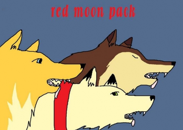 The Red Moon Pack
