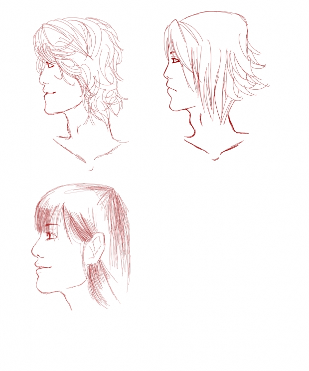 Profiles WIP