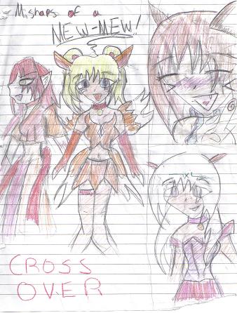 Mishaps Of A Mew-mew