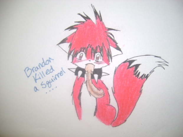 Brandon Vs The Squirrel-the Winner