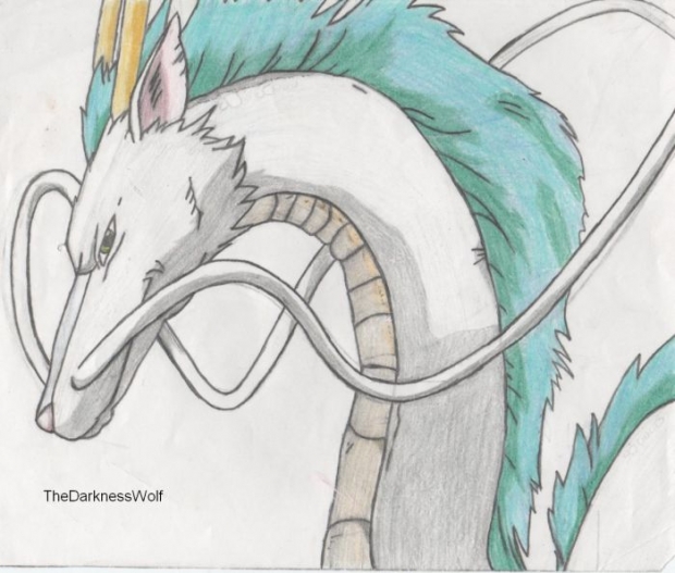 Dragon Haku Color