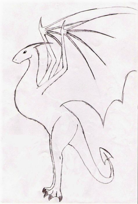Dragon Sketch