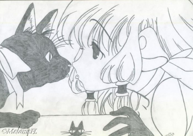 Chii And A Small Cat