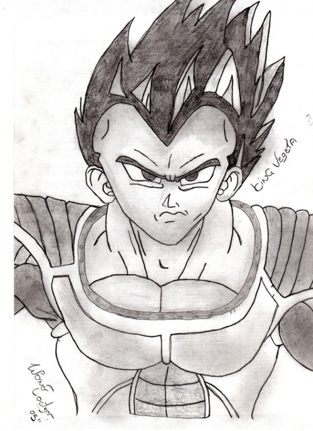 King Vegeta