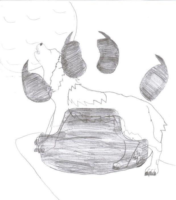 Wolf Dawing