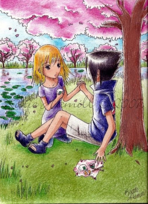 Cherry Blossoms(request)