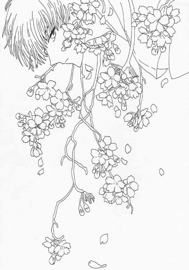 Trapped Within The Cherry Blossoms