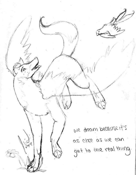 We Dream Because.... *before Color