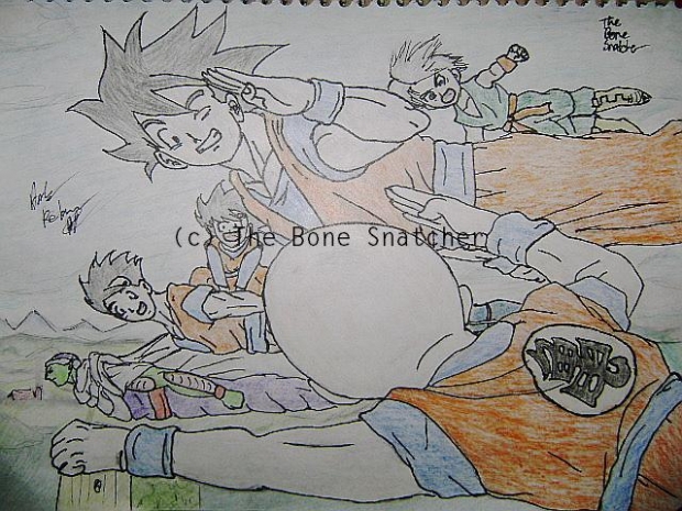 DBZ Contest Entry