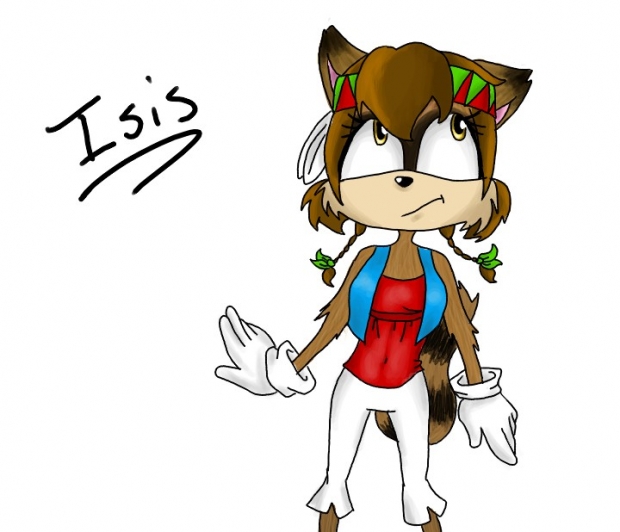 Isis the raccoon