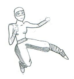 Ninja Kick