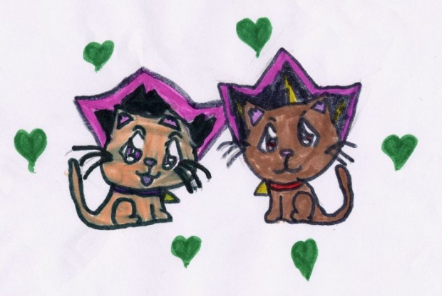 Puzzleshipping Kitties