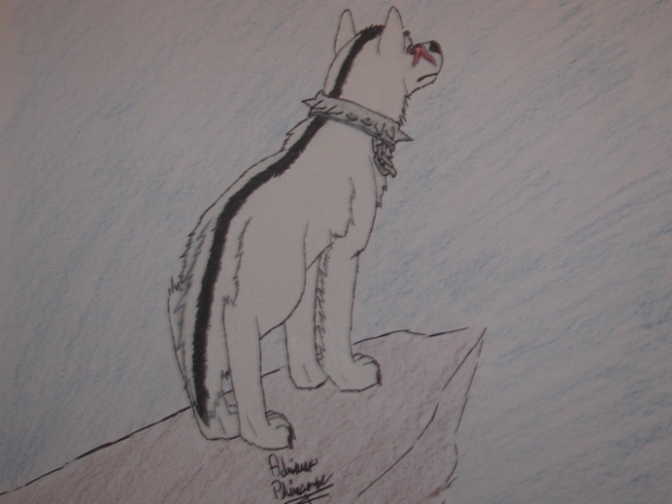 Me Against The World