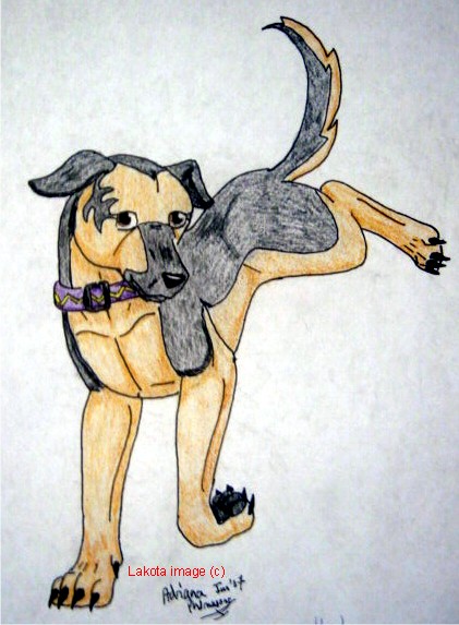 Yuna,my Dog Ginga Style